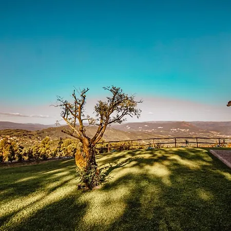 Semesterbostad Luxury Private Pool Belle Epoque Celorico De Basto